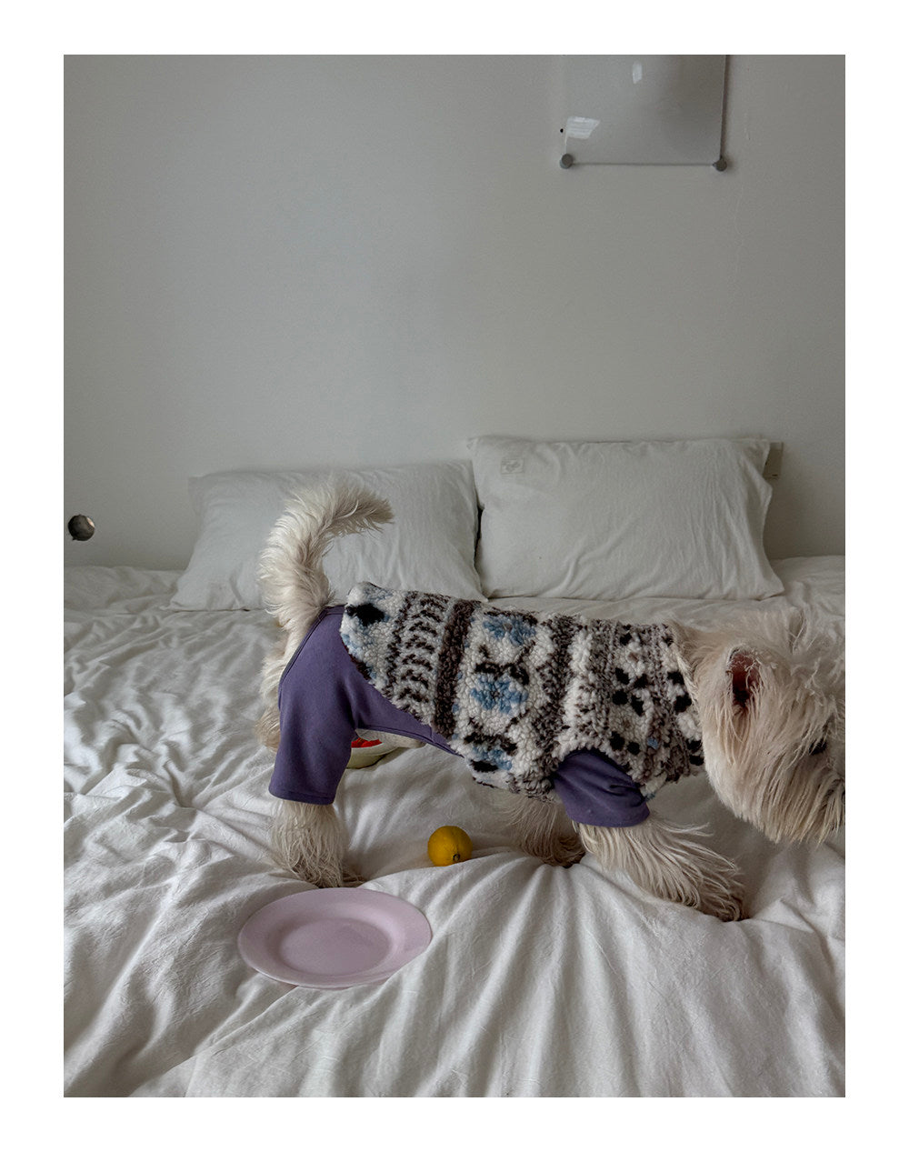 Twoll Cozy Sherpa Dog Vest & Hat