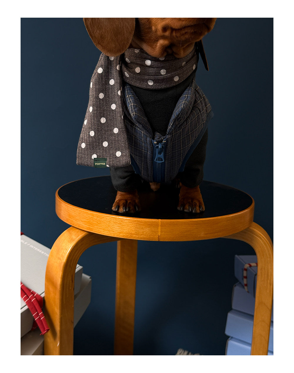 Twoll Quilted Puffer Dog Vest