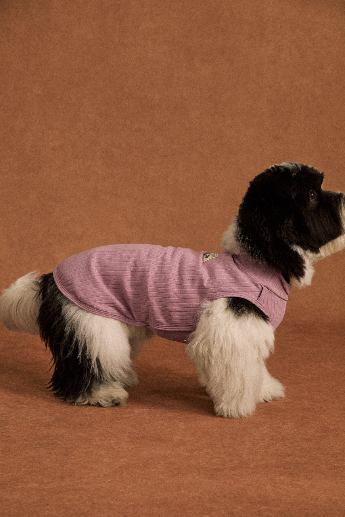 Twoll Lightweight Cotton Summer Tee for Dogs