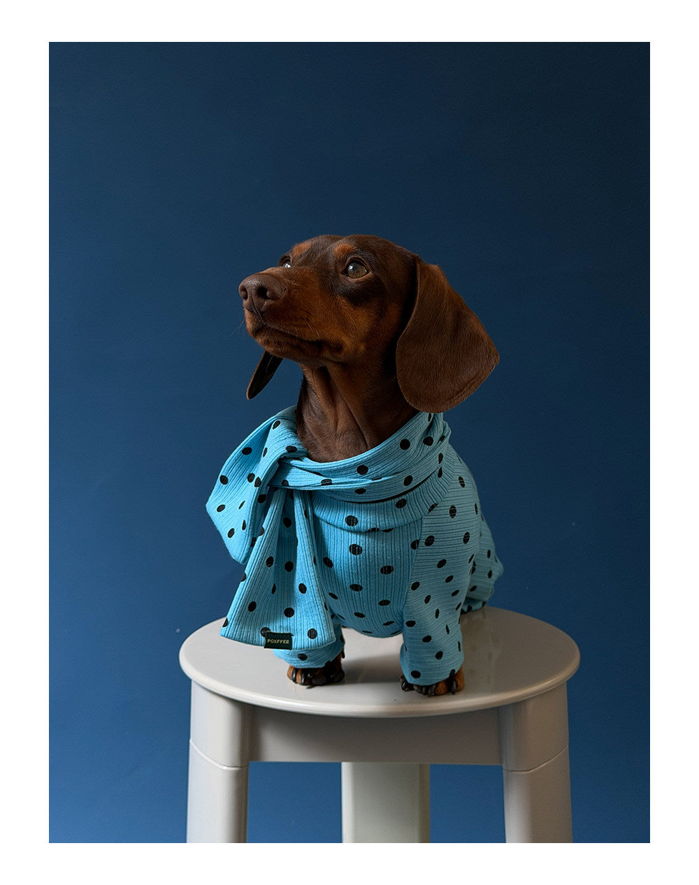 Twoll Polka Dot Winter Collection