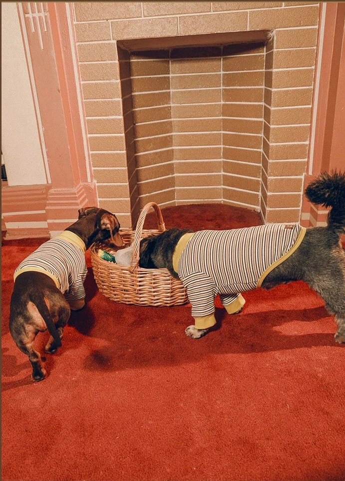 Twoll Vintage Stripe Cotton Dog Tee