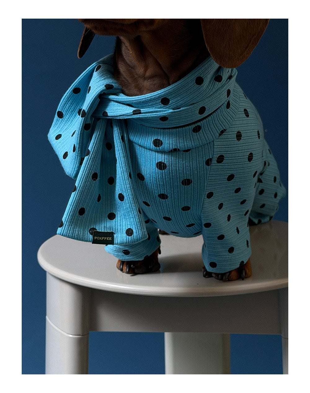 Twoll Polka Dot Winter Collection