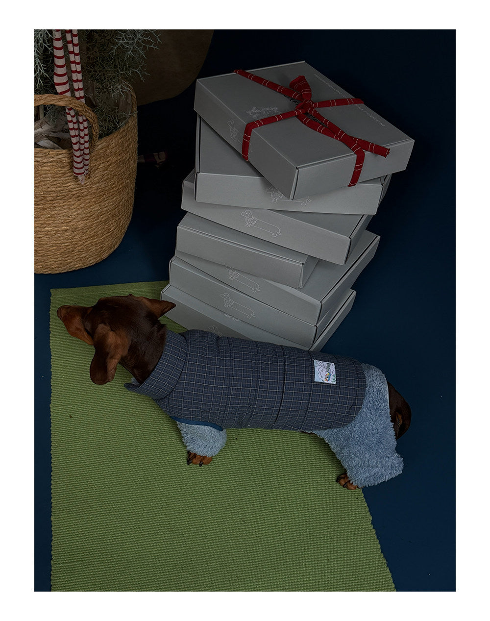 Twoll Quilted Puffer Dog Vest