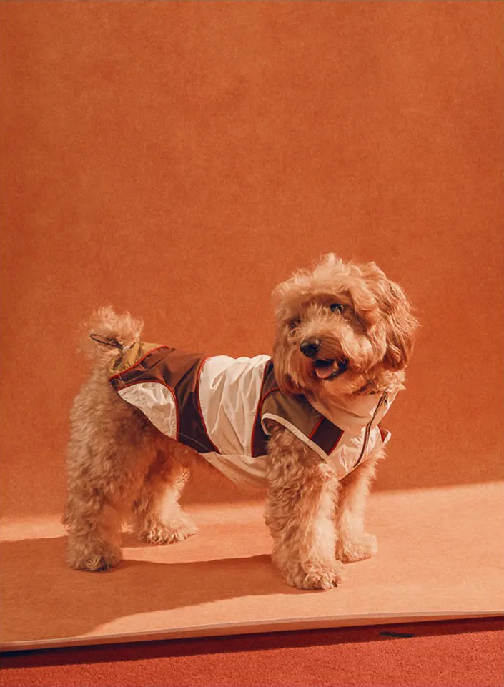 Twoll Ultralight Summer Dog Vest