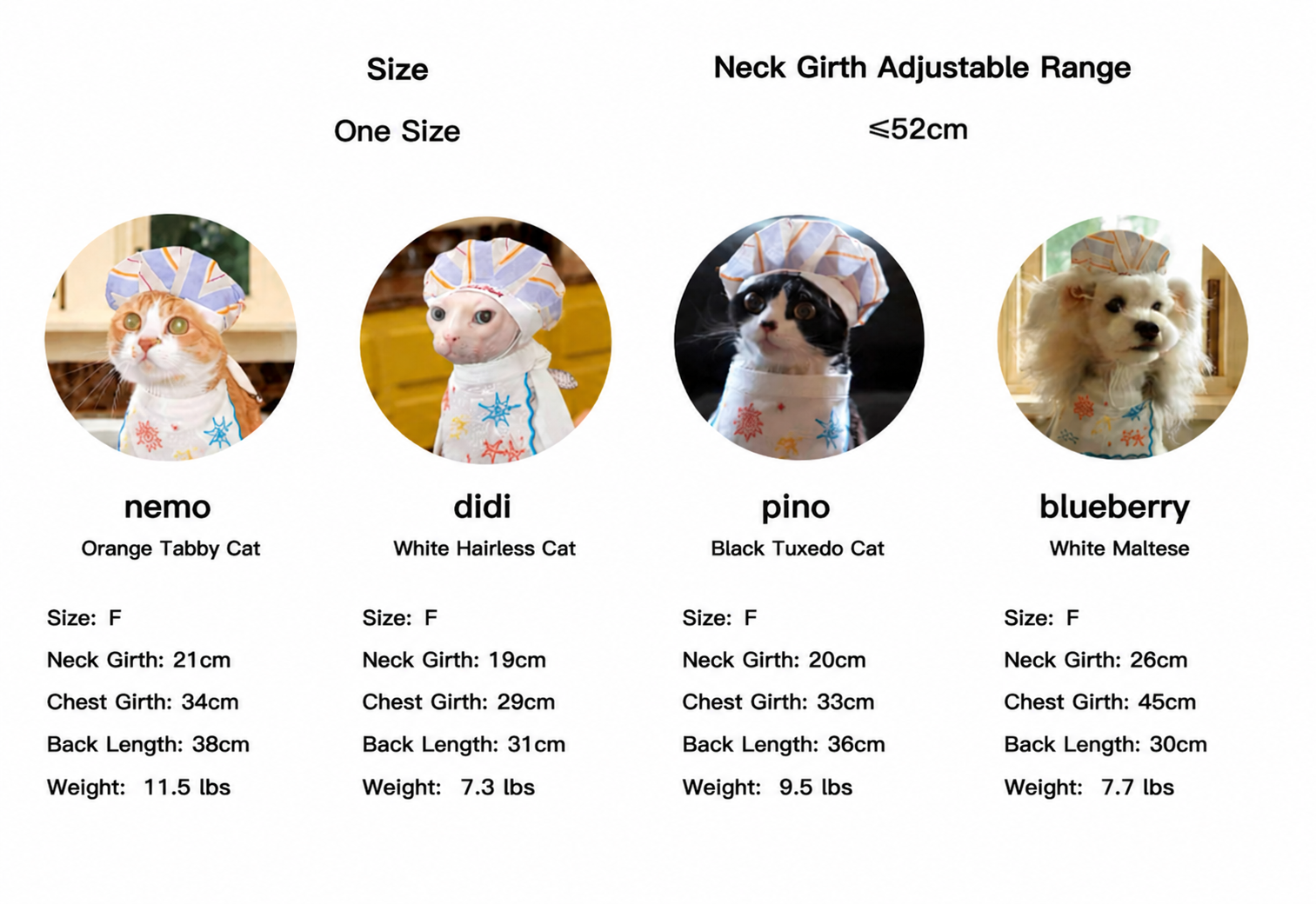 Twoll Embroidered Seashell Bandana size guide