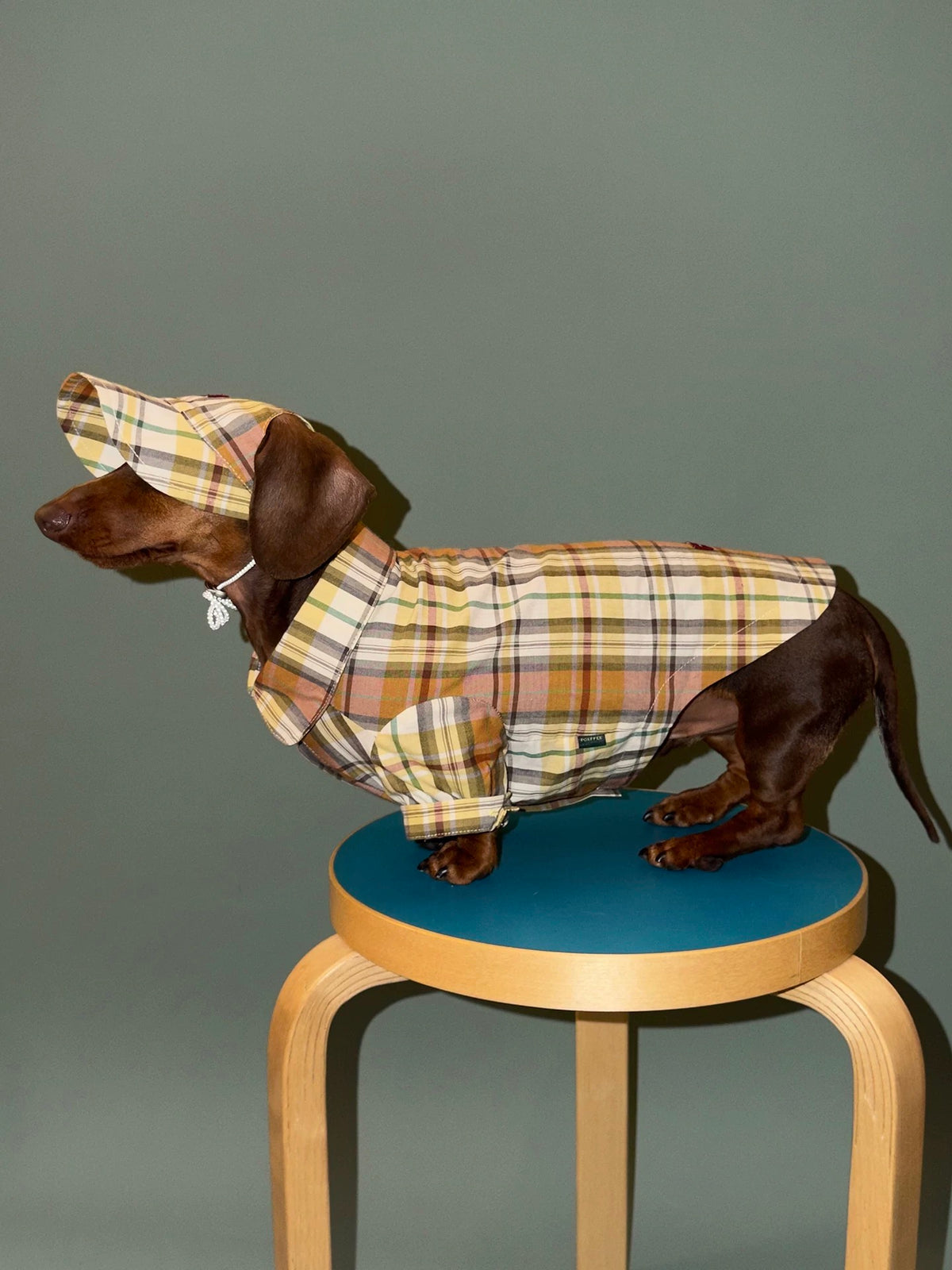 Twoll Vintage Plaid Dog Shirt