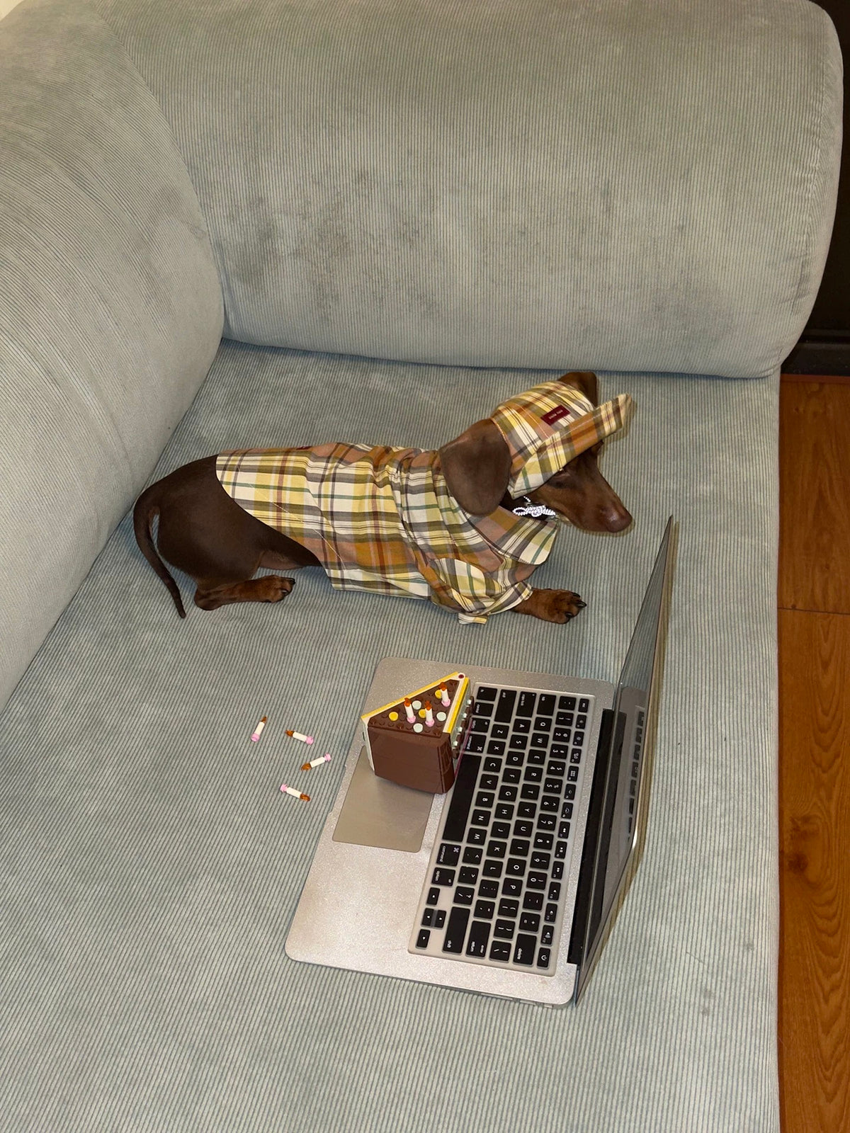 Twoll Vintage Plaid Dog Shirt