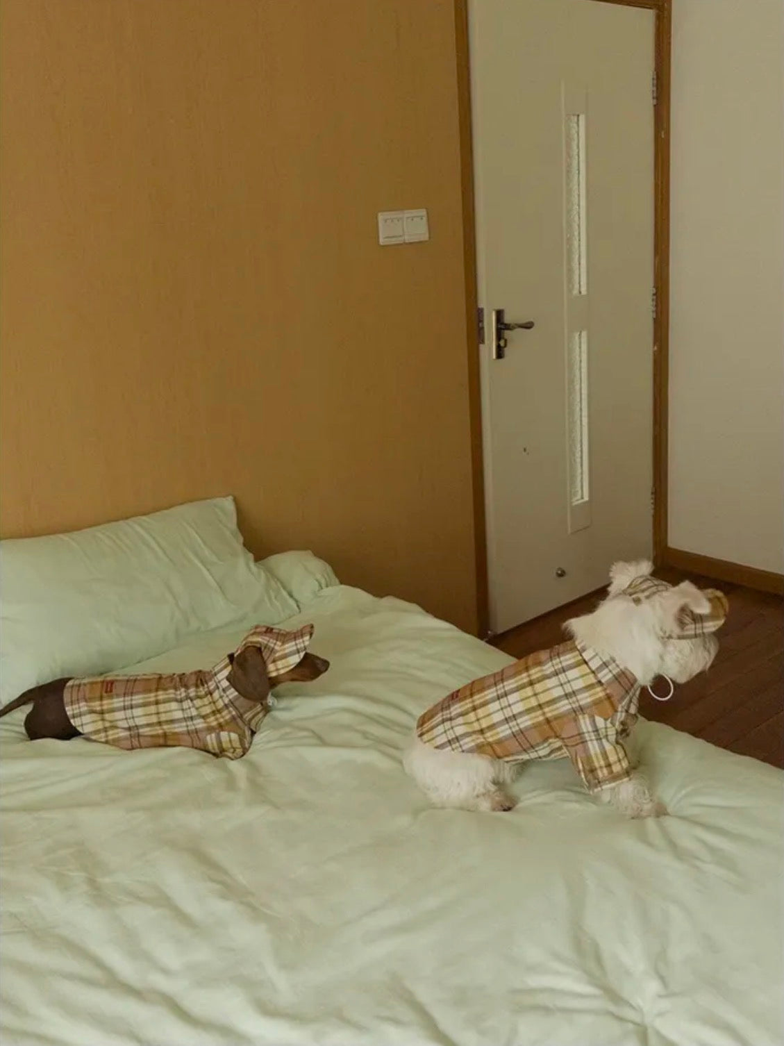 Twoll Vintage Plaid Dog Shirt