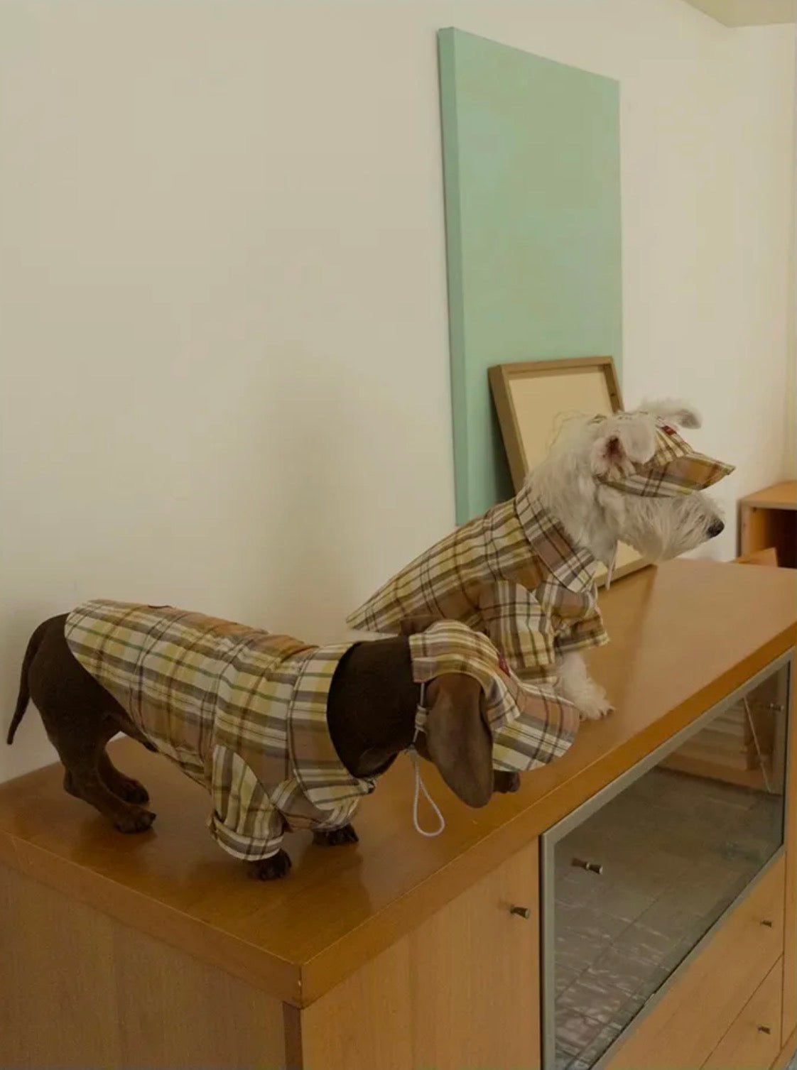 Twoll Vintage Plaid Dog Shirt