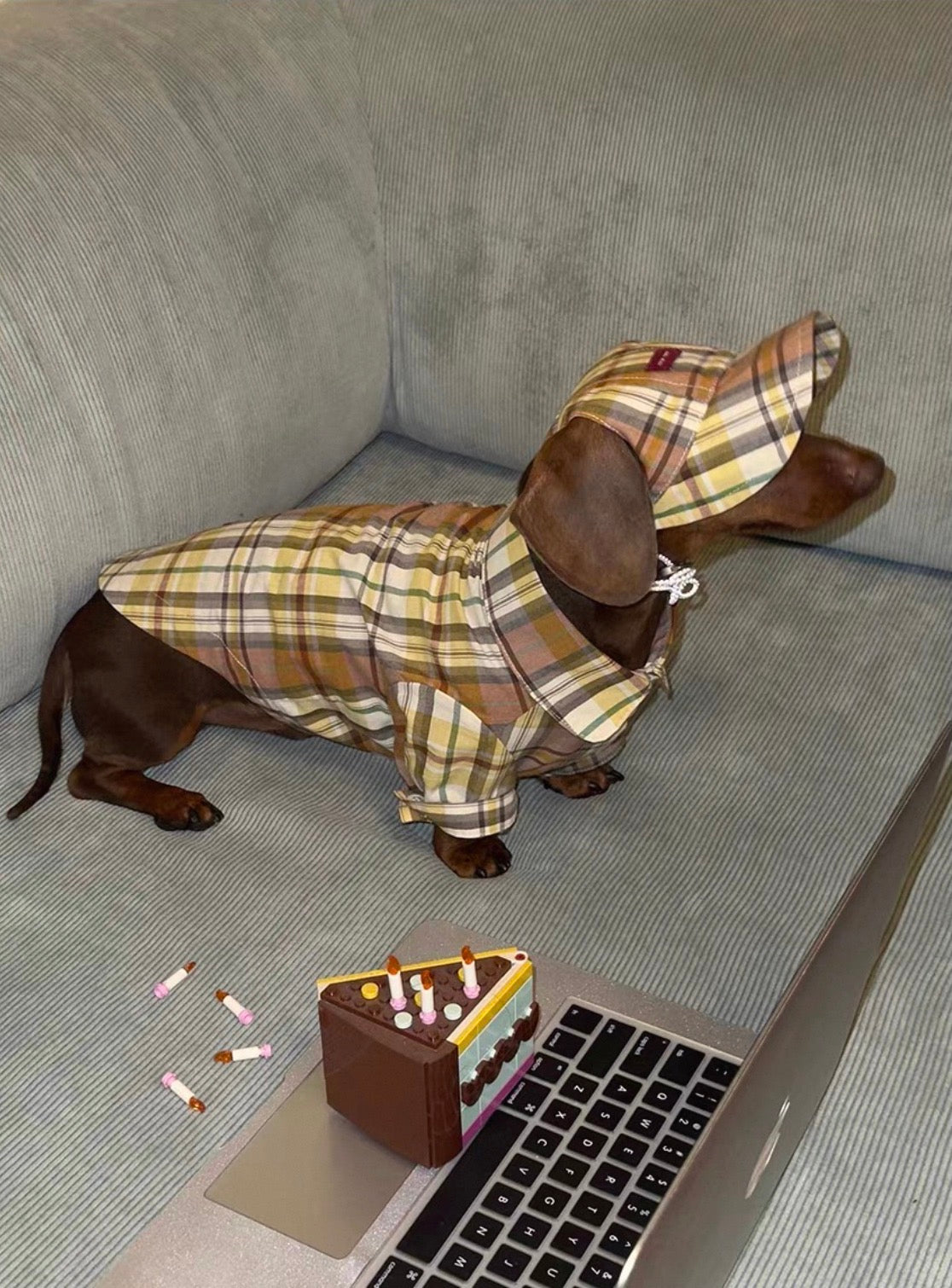 Twoll Vintage Plaid Dog Shirt