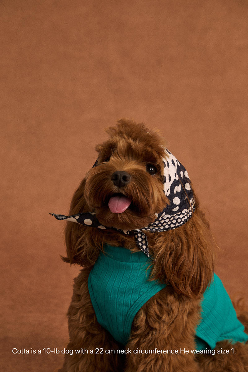 Twoll Vintage Polka Dot Cotton Bandana for Dogs