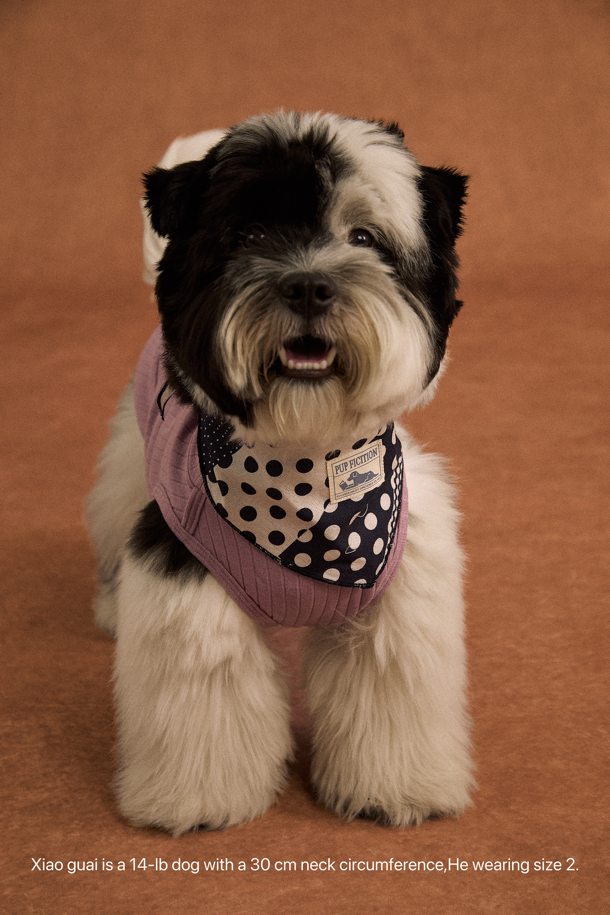 Twoll Vintage Polka Dot Cotton Bandana for Dogs