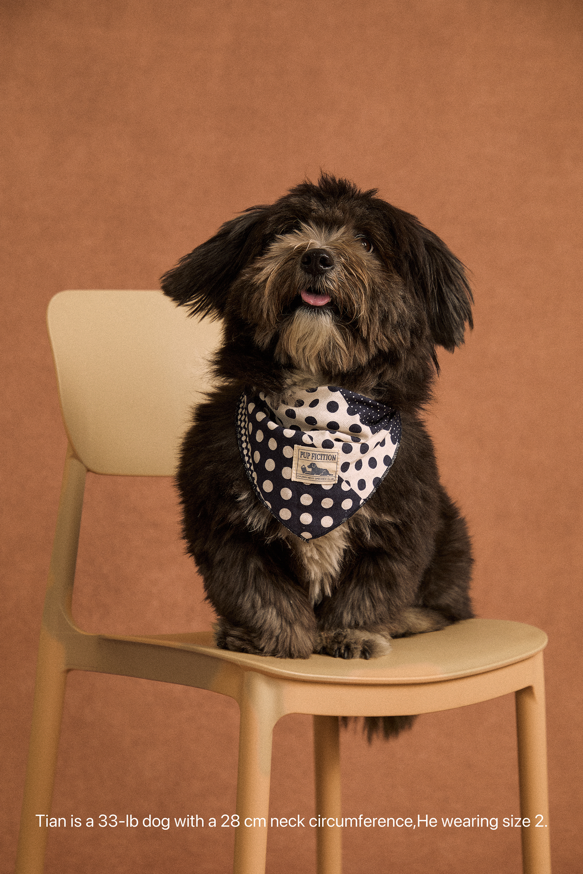 Twoll Vintage Polka Dot Cotton Bandana for Dogs
