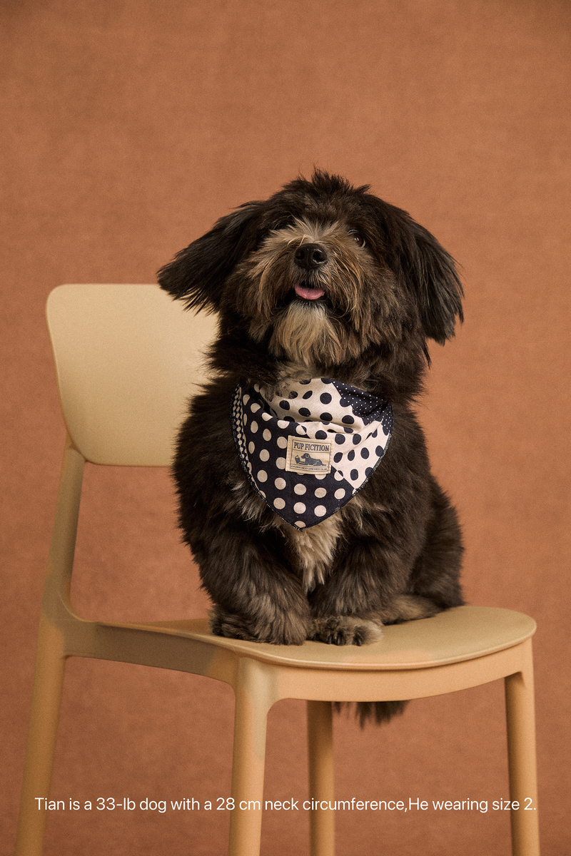 Twoll Vintage Polka Dot Cotton Bandana for Dogs