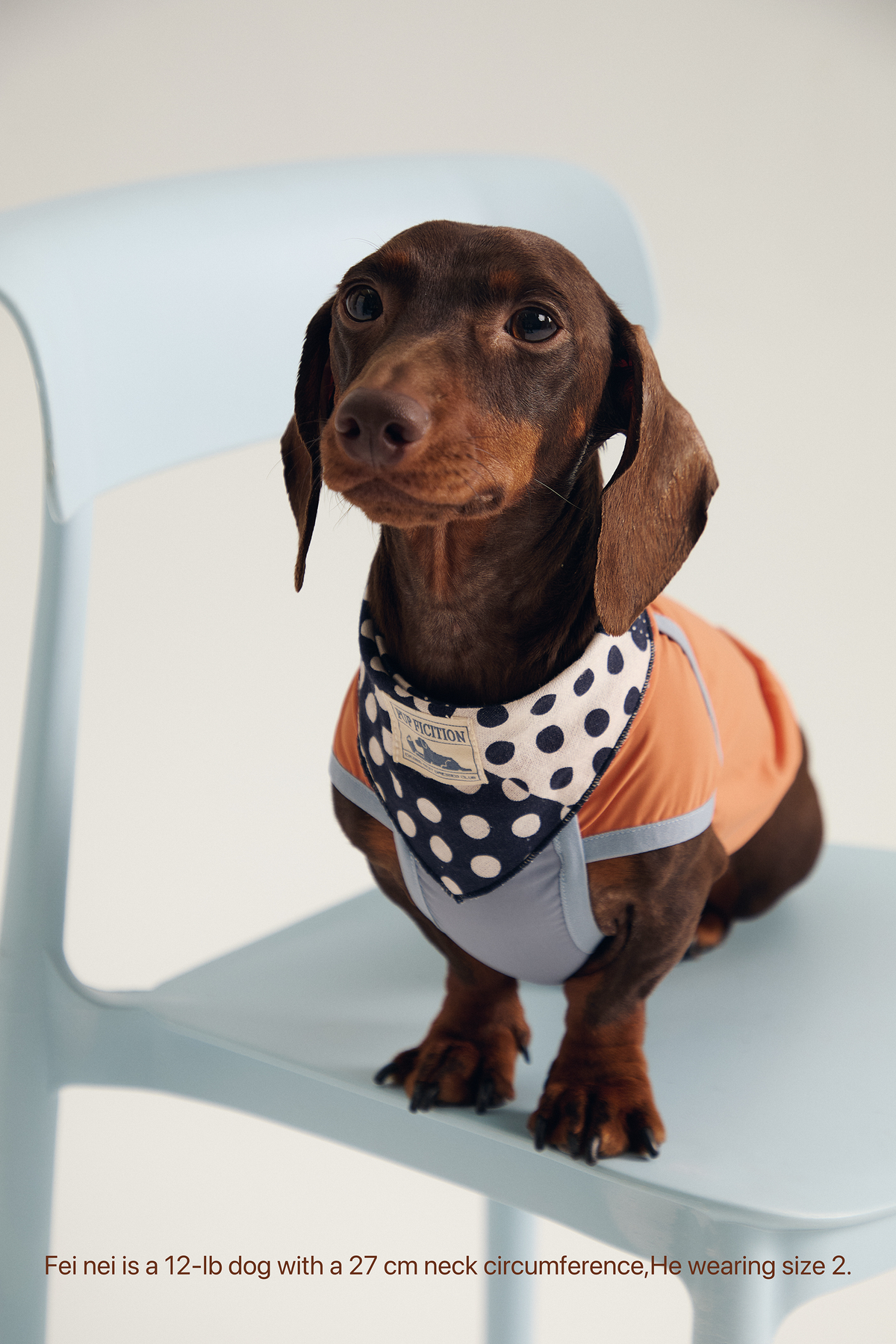 Twoll Vintage Polka Dot Cotton Bandana for Dogs