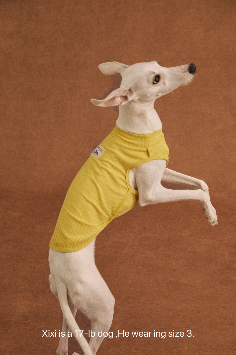 Twoll Lightweight Cotton Summer Tee for Dogs