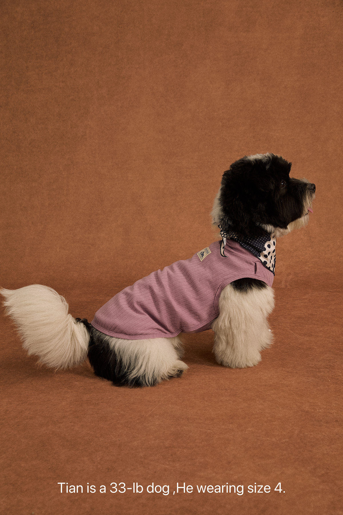 Twoll Lightweight Cotton Summer Tee for Dogs
