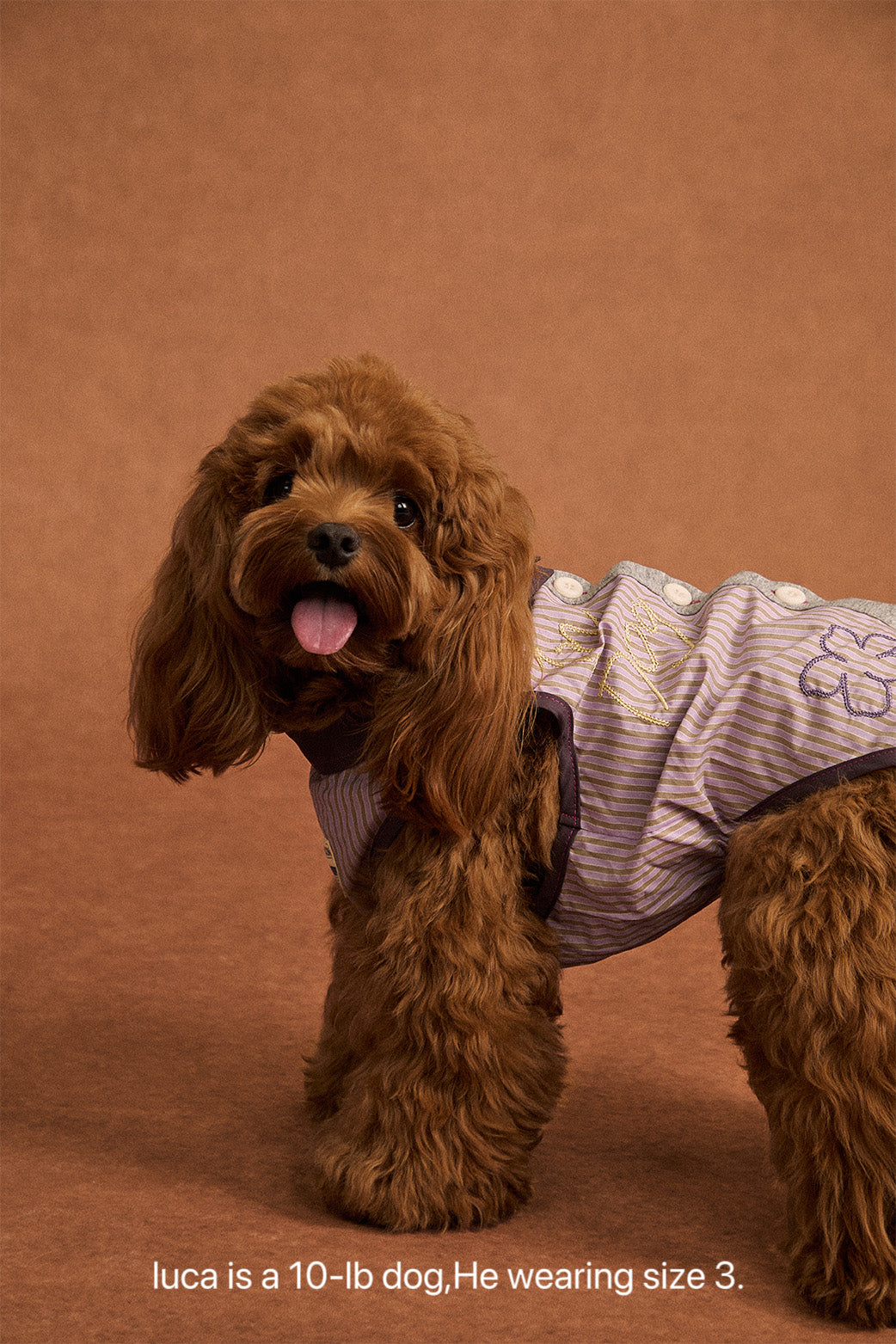 Pup Fiction Cooling Water-Resistant Quick-Dry Dog Shirt