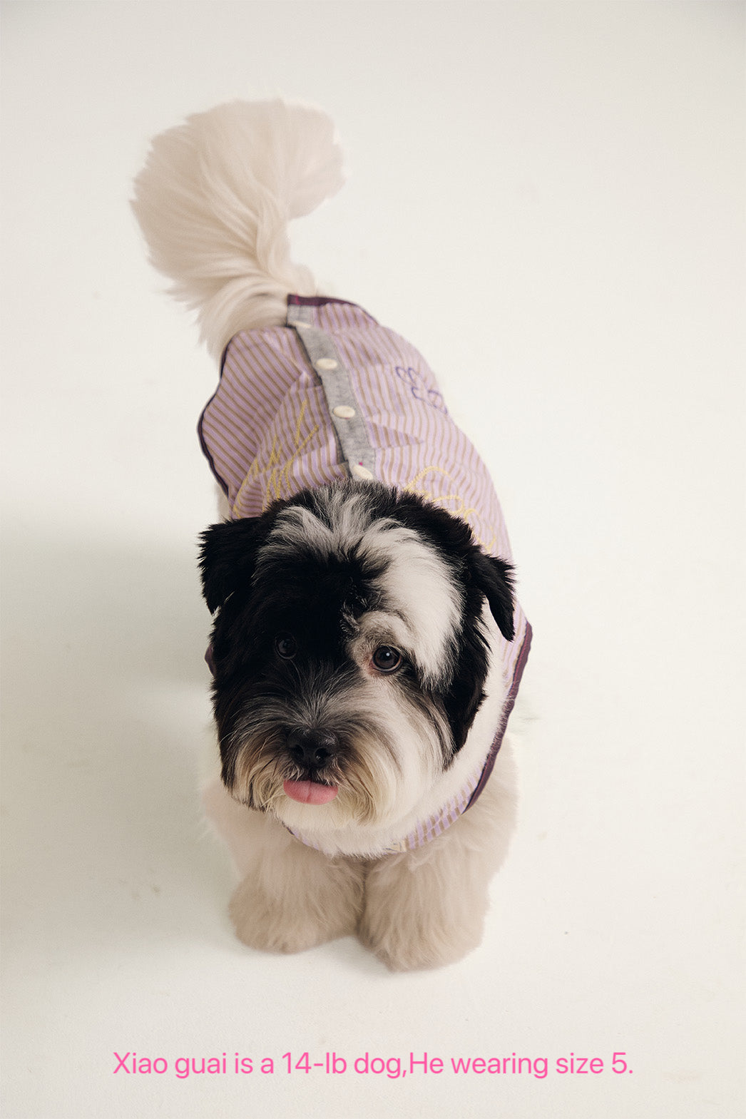 Pup Fiction Cooling Water-Resistant Quick-Dry Dog Shirt