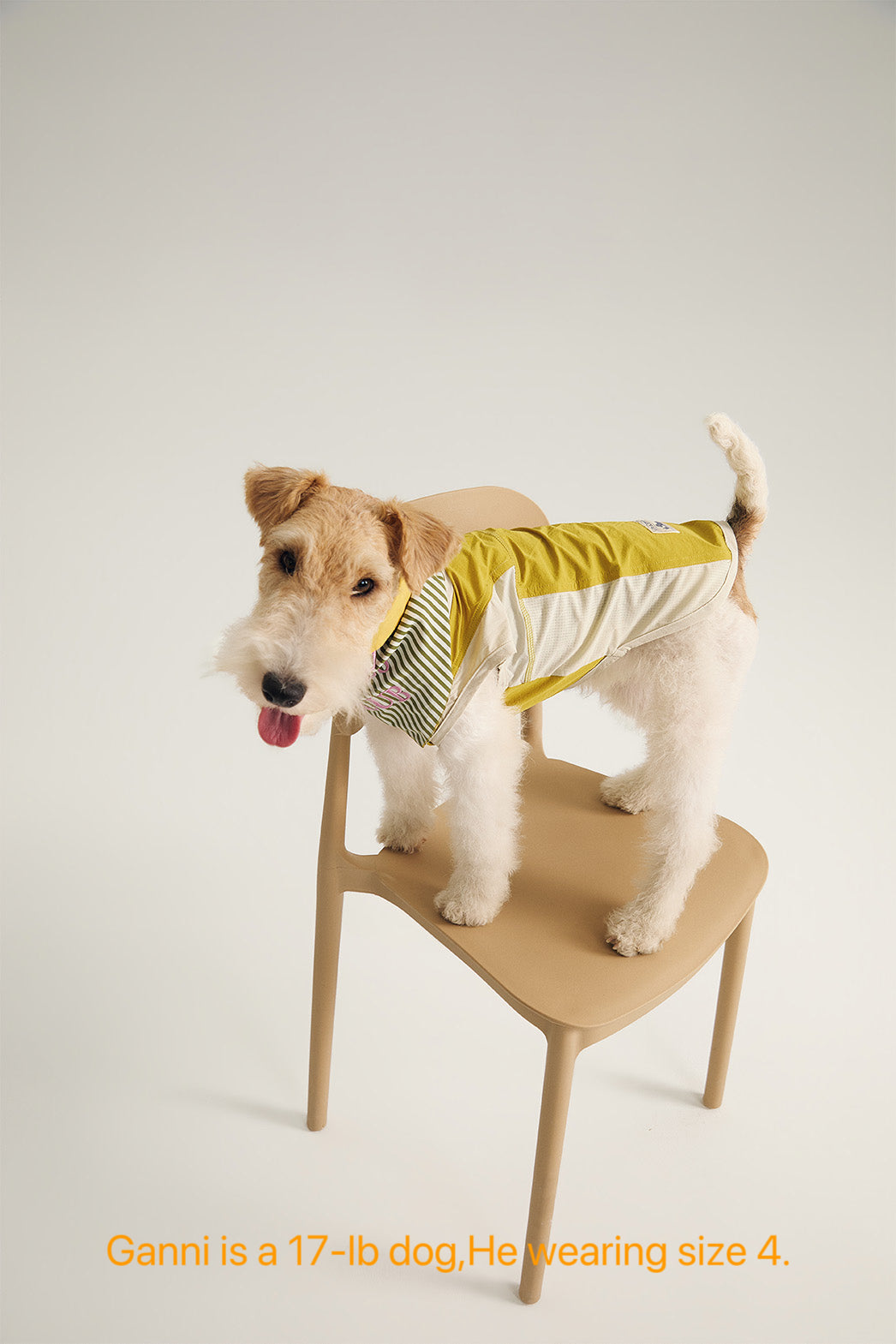 Pup Fiction Striped Embroidered Sleeveless Dog Shirt