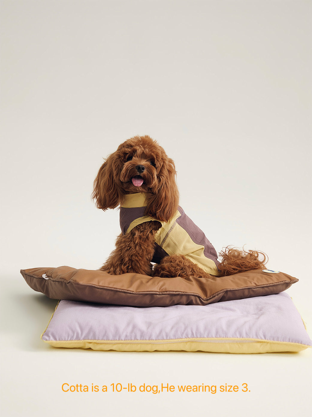 Pup Fiction Striped Embroidered Sleeveless Dog Shirt