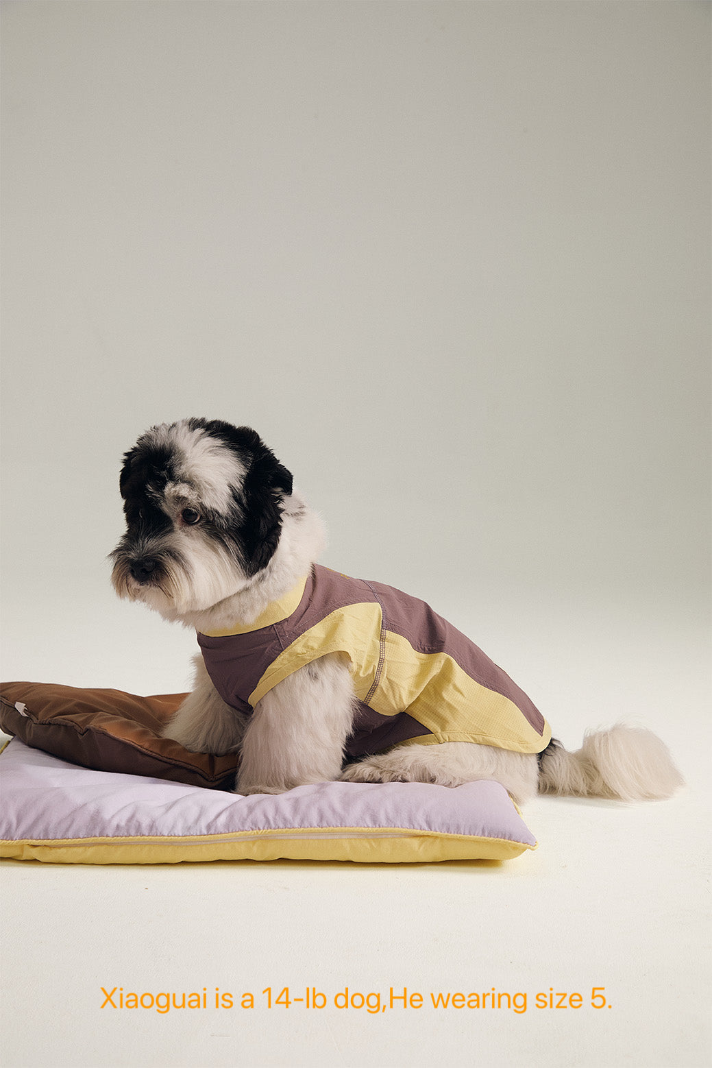 Pup Fiction Striped Embroidered Sleeveless Dog Shirt