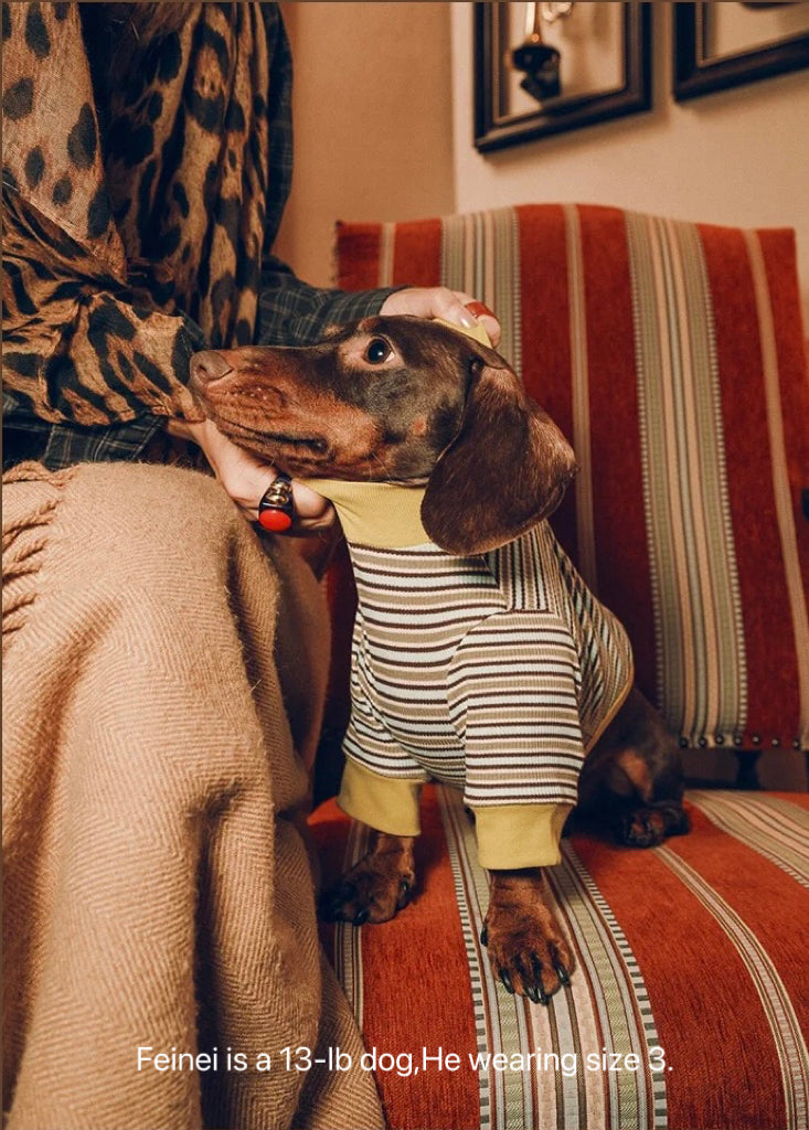 Twoll Vintage Stripe Cotton Dog Tee