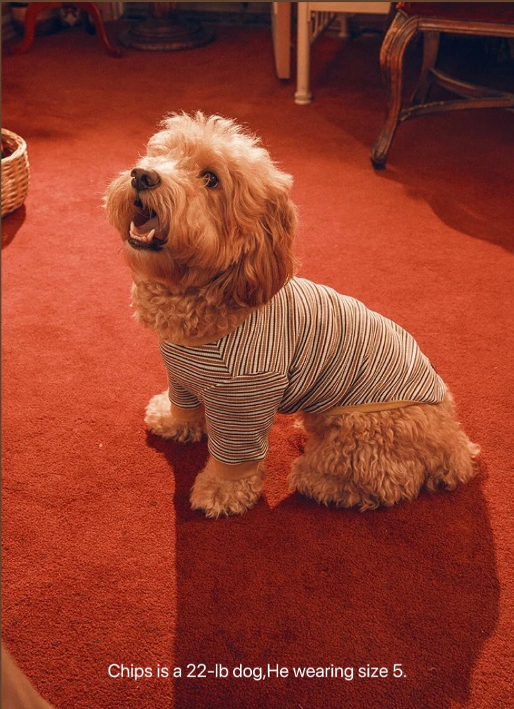 Twoll Vintage Stripe Cotton Dog Tee
