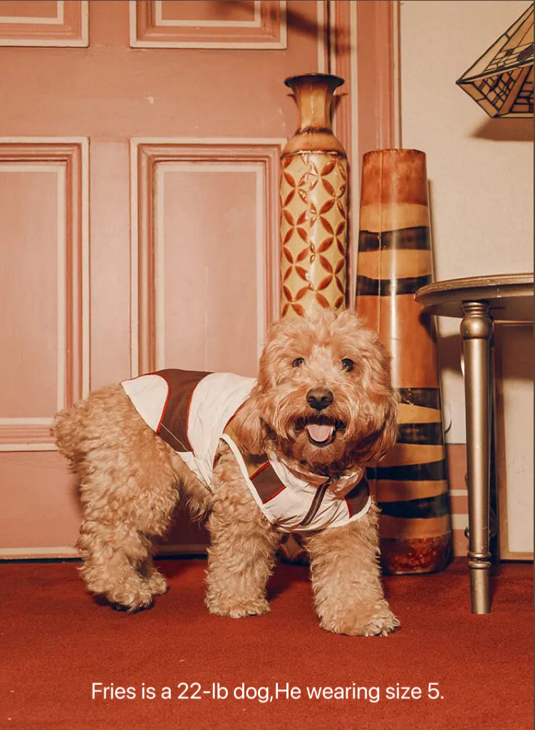 Twoll Ultralight Summer Dog Vest