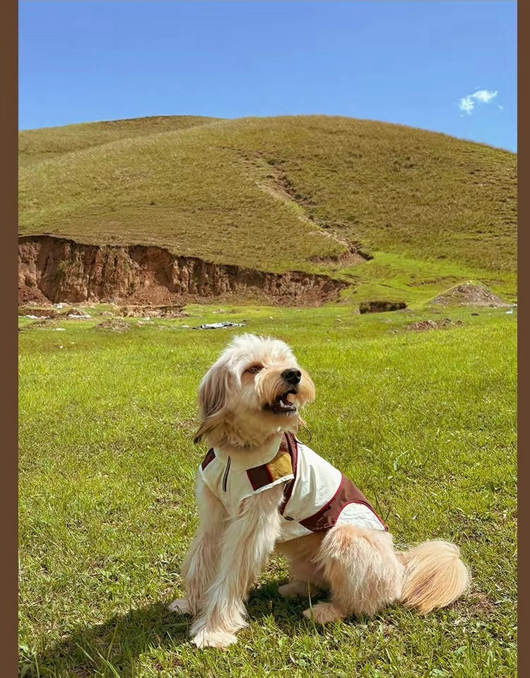 Twoll Ultralight Summer Dog Vest