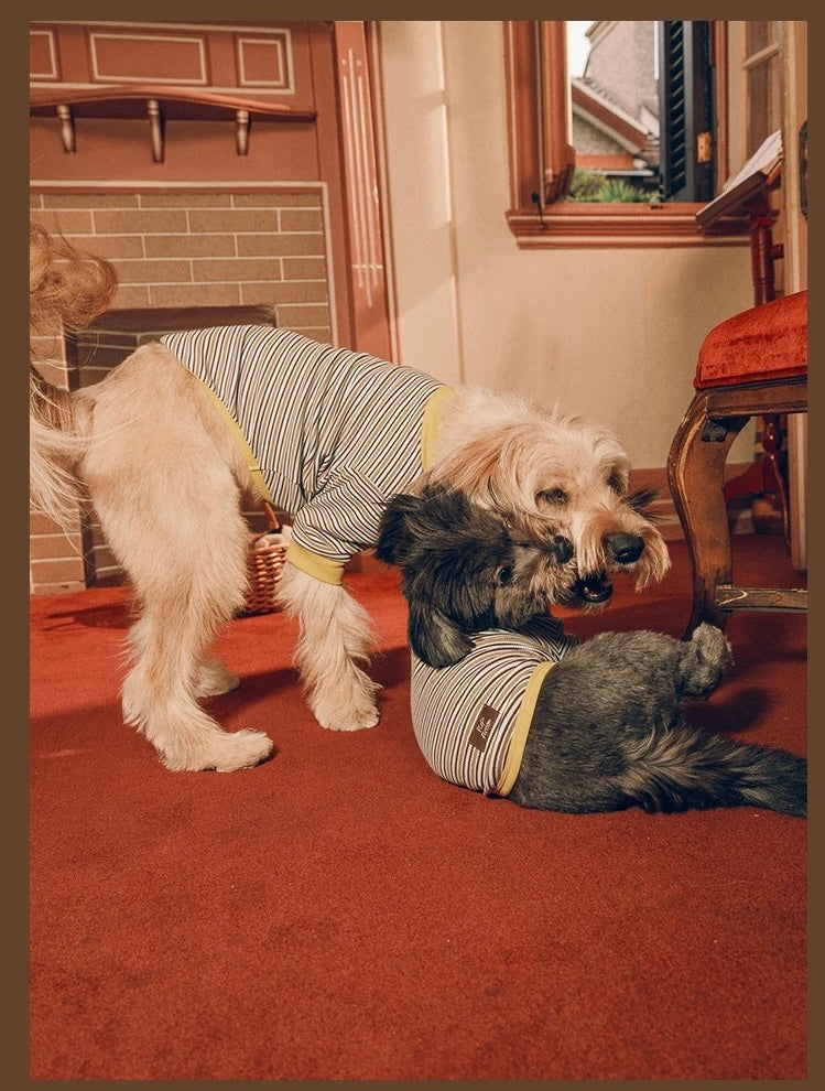 Twoll Vintage Stripe Cotton Dog Tee