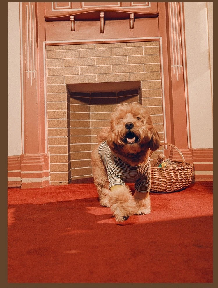 Twoll Vintage Stripe Cotton Dog Tee