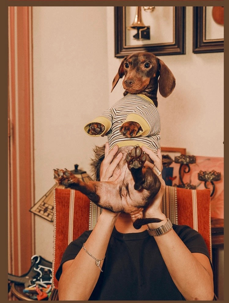 Twoll Vintage Stripe Cotton Dog Tee