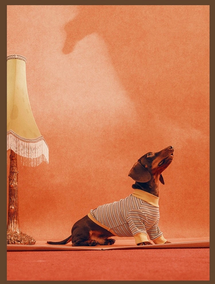 Twoll Vintage Stripe Cotton Dog Tee