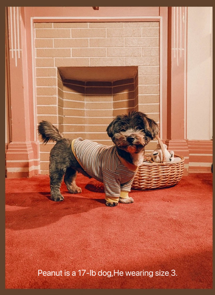 Twoll Vintage Stripe Cotton Dog Tee