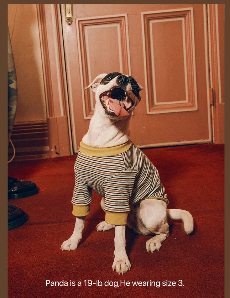 Twoll Vintage Stripe Cotton Dog Tee