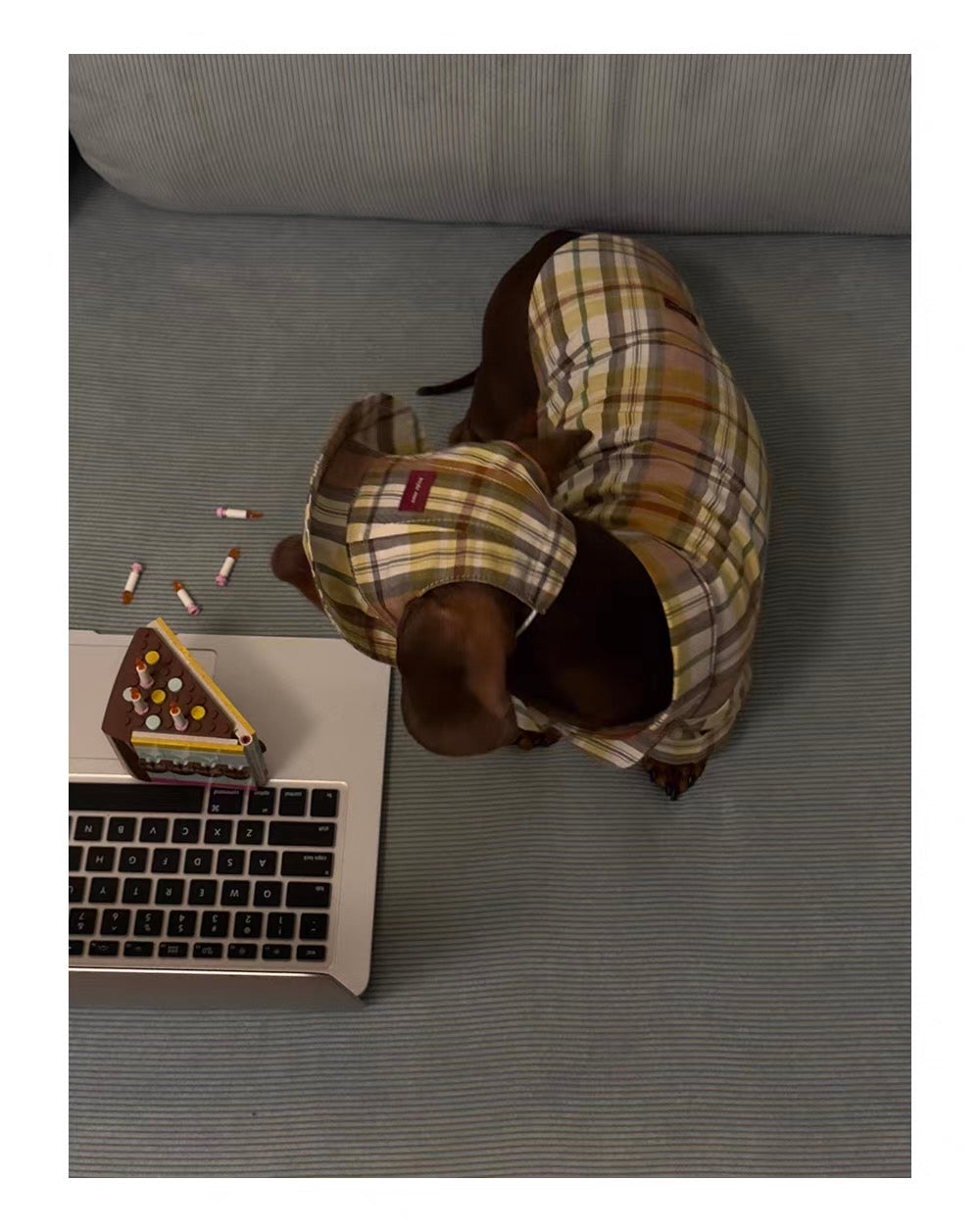 Twoll Vintage Plaid Dog Cap