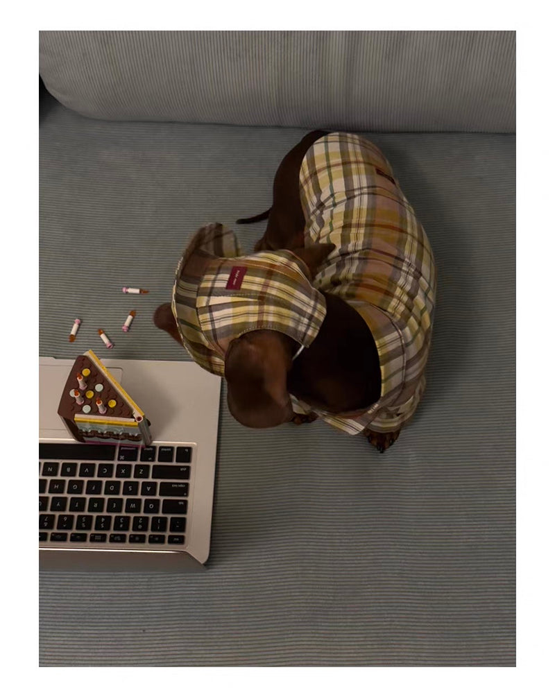 Twoll Vintage Plaid Dog Cap