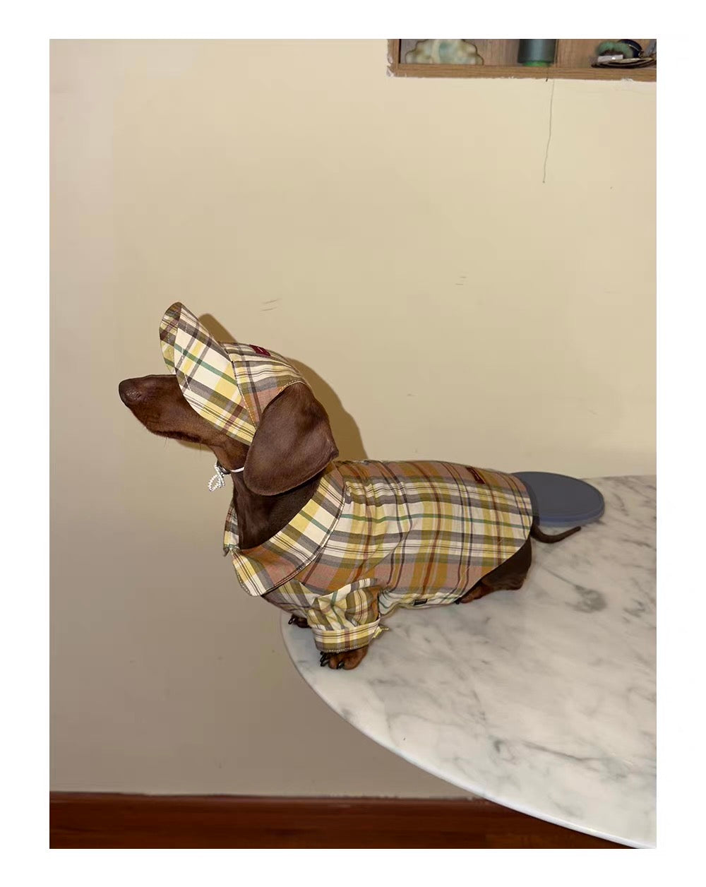 Twoll Vintage Plaid Dog Cap