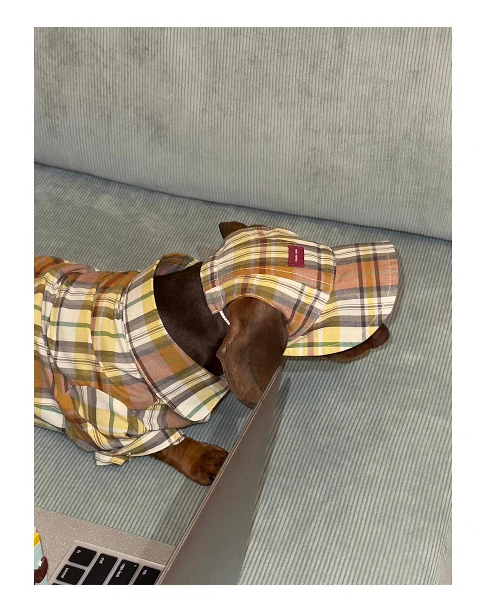 Twoll Vintage Plaid Dog Cap