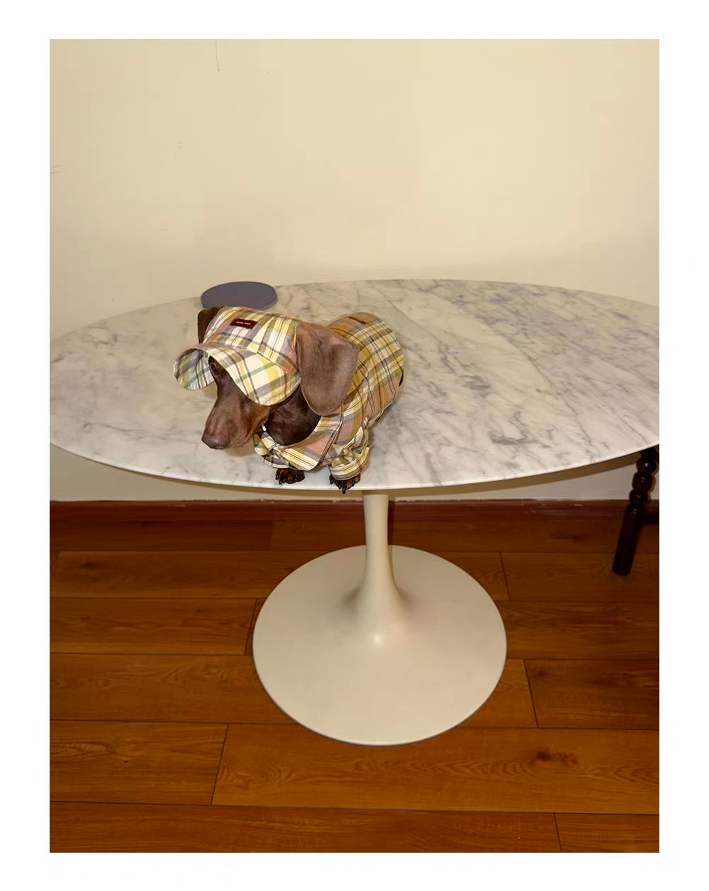 Twoll Vintage Plaid Dog Cap