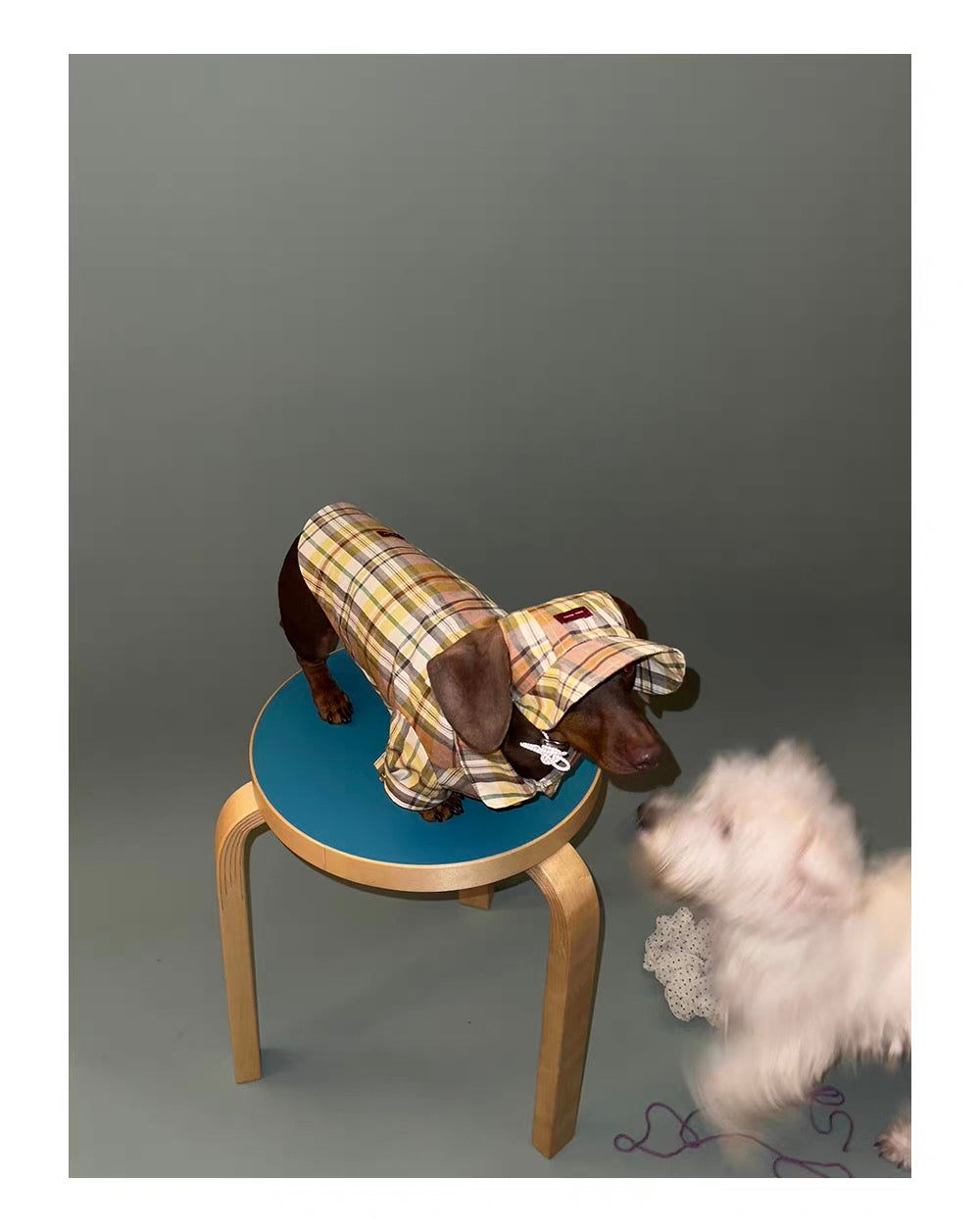 Twoll Vintage Plaid Dog Cap