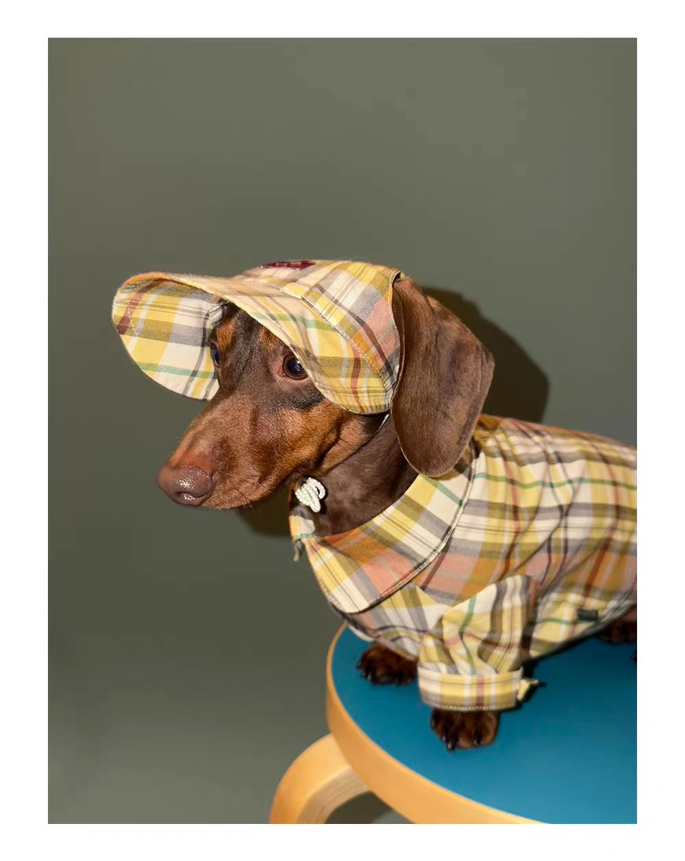 Twoll Vintage Plaid Dog Cap