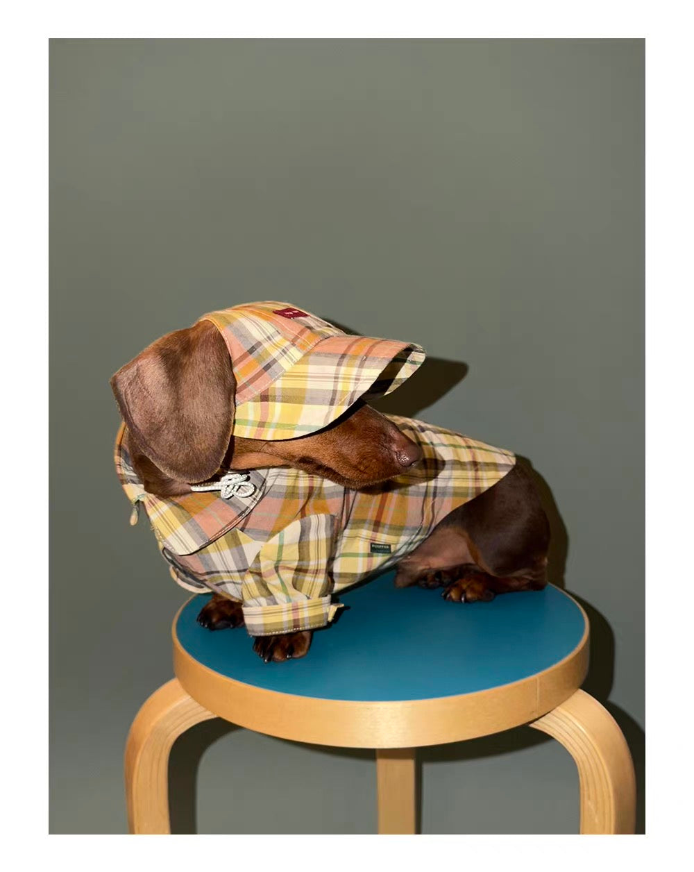 Twoll Vintage Plaid Dog Cap