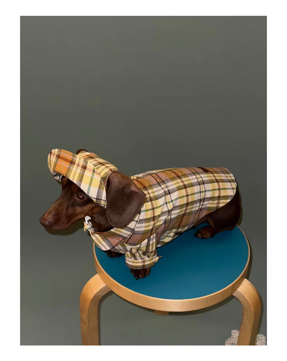 Twoll Vintage Plaid Dog Cap
