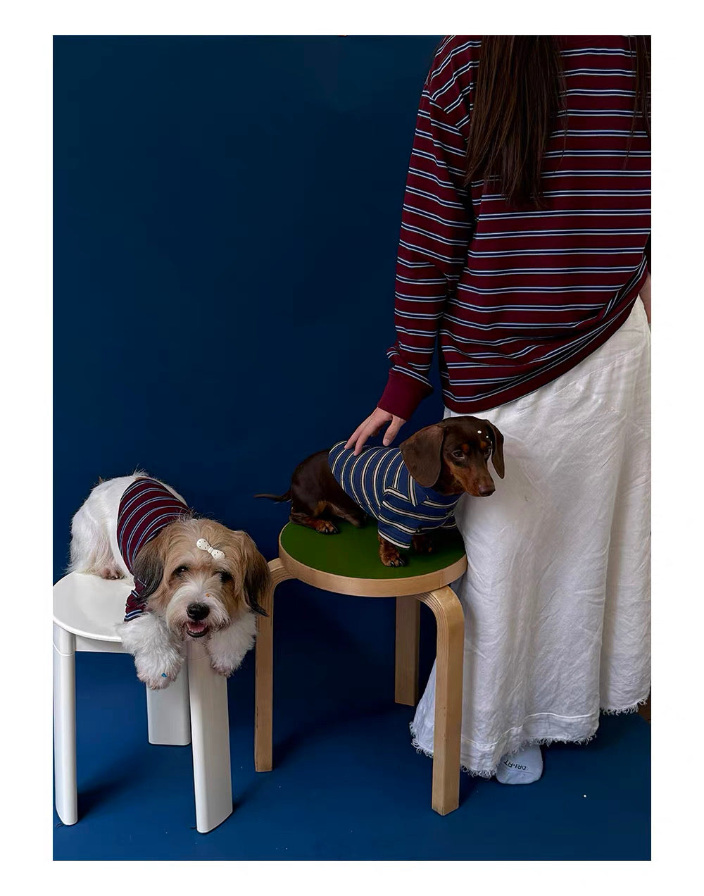 Twoll Vintage Stripe Long Sleeve Dog Tee