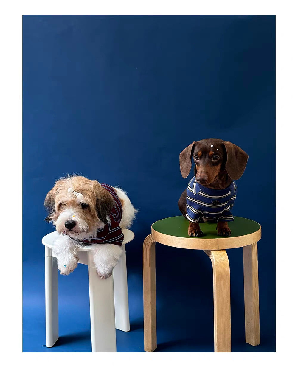 Twoll Vintage Stripe Long Sleeve Dog Tee