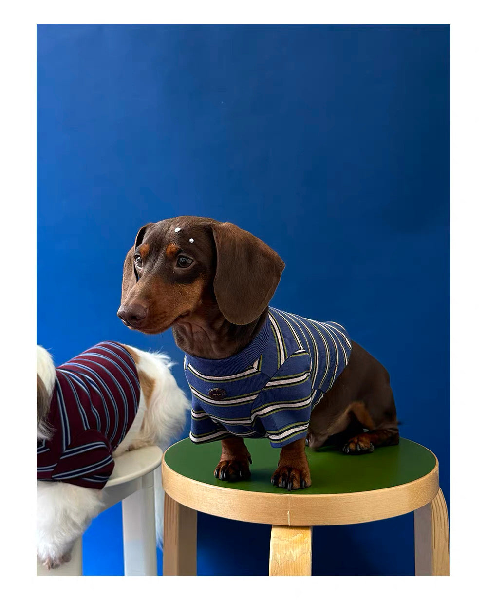 Twoll Vintage Stripe Long Sleeve Dog Tee