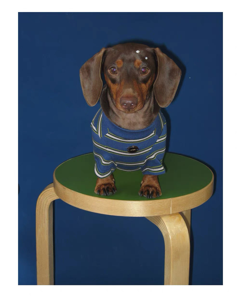 Twoll Vintage Stripe Long Sleeve Dog Tee