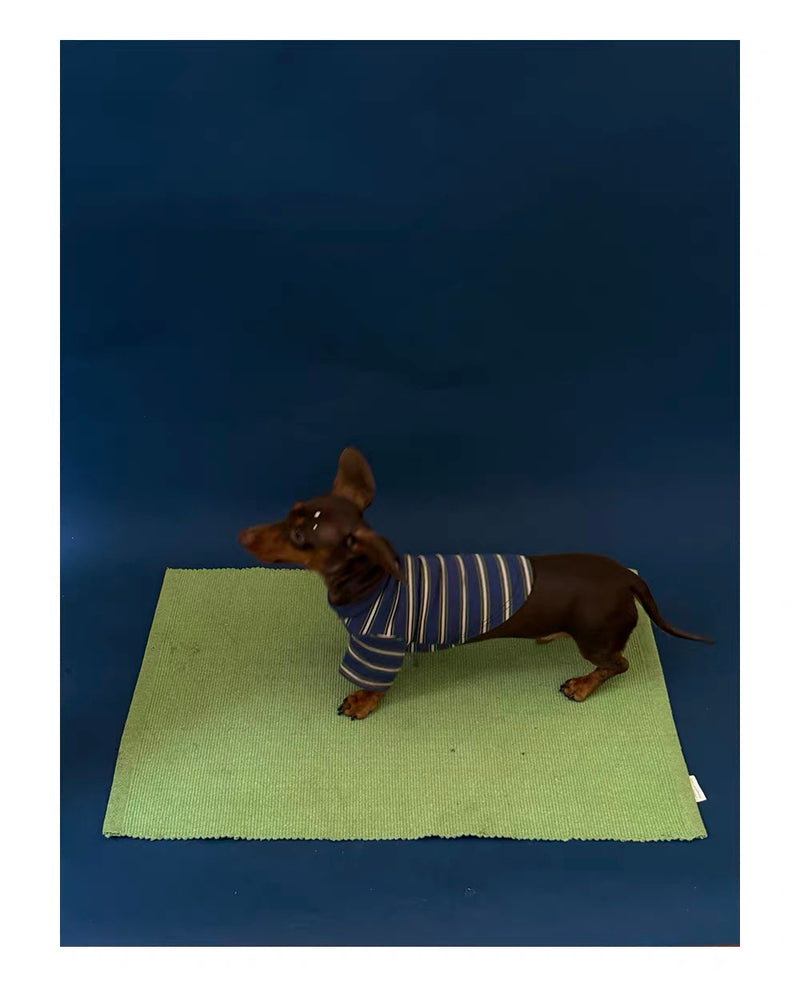 Twoll Vintage Stripe Long Sleeve Dog Tee